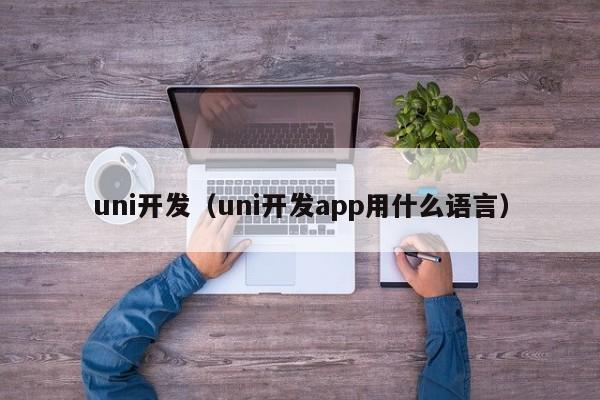 uni开发（uni开发app用什么语言）